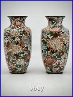 A Magnificent pair of Japanese Cloisonne Enamel Millefiori Chrysanthemums Vases