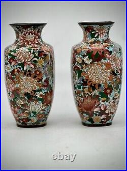 A Magnificent pair of Japanese Cloisonne Enamel Millefiori Chrysanthemums Vases