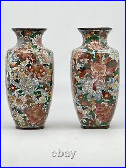 A Magnificent pair of Japanese Cloisonne Enamel Millefiori Chrysanthemums Vases