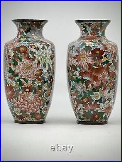 A Magnificent pair of Japanese Cloisonne Enamel Millefiori Chrysanthemums Vases