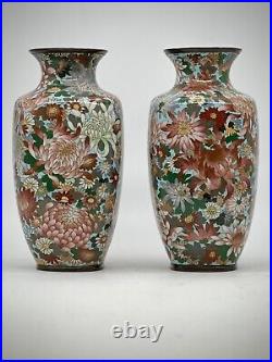 A Magnificent pair of Japanese Cloisonne Enamel Millefiori Chrysanthemums Vases