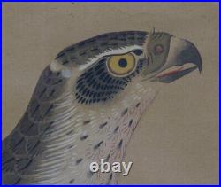 Antique Japan master falconry painting Taka 1750s Edo Takagari art