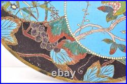 Antique Japanese Asian Cloisonne Enamel Charger c 1890 12 diameter Birds Vintage
