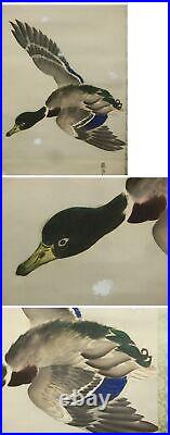 HANGING SCROLL JAPANESE PAINTING JAPAN Wild Goose Duck VINTAGE ANTIQUE ART d299