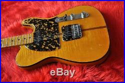 HS Anderson MadCat Mad Cat Guitar Vintage Japan 1973 Prince