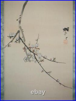Japan Vintage Kakejiku Hanging Scroll Birds And Flowers F101