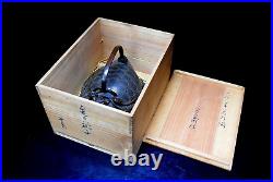 Japanes Antique Bronze Turtle Sake Server Year 1920