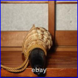 Japanese Vintage conch shell trumpet Horagai Yamabushi Shugendo Trumpet SG73