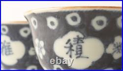 M#030 Japanese Pottery Tea Cup YUNOMI Vintage Signed 5pc Rabbit SOMETSUKE