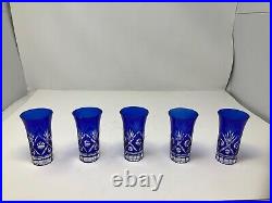 Vintage Antique Collectable Set Of 5 Made in Japan Boxed Glass Cups Shot Cups