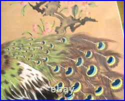 Vintage Japanese Scroll Peacock In VIVID Green & Blue Bird Painting Sumi 31x80