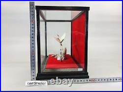 Y5516 OKIMONO Crane Turtle figure glass case Japan antique interior vintage